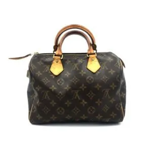 louis-vuitton-speedy-25-second-hand-bag-usata